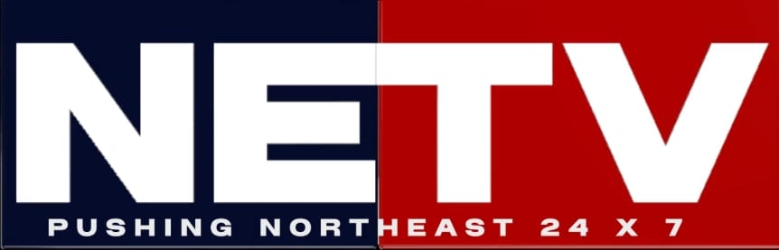 netv.co.in